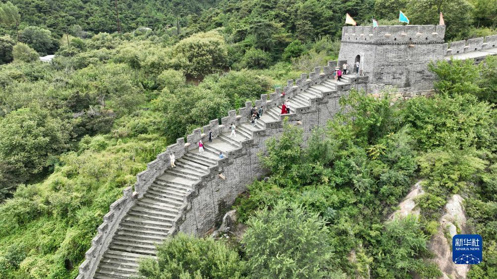 捕鱼网站下载
